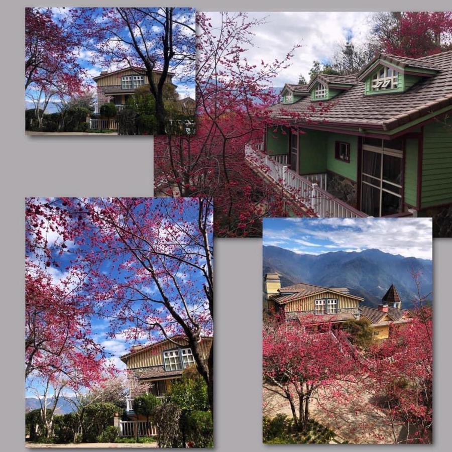 Dream Forest Villa Ren'ai Exterior foto