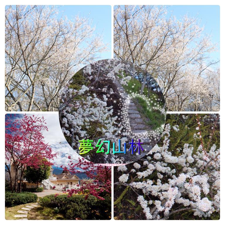 Dream Forest Villa Ren'ai Exterior foto